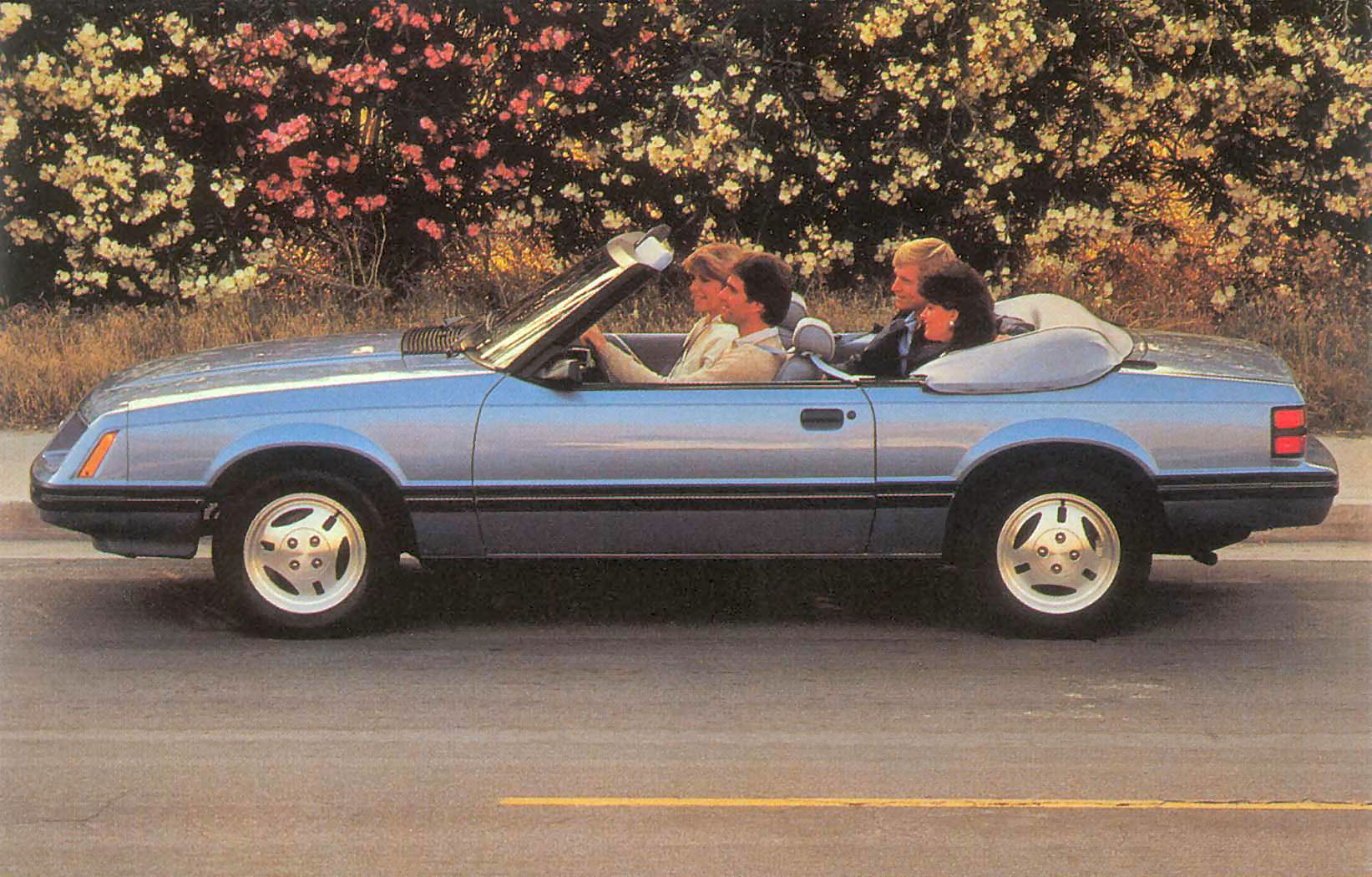 1984_Ford_Mustang_Postcard-01a