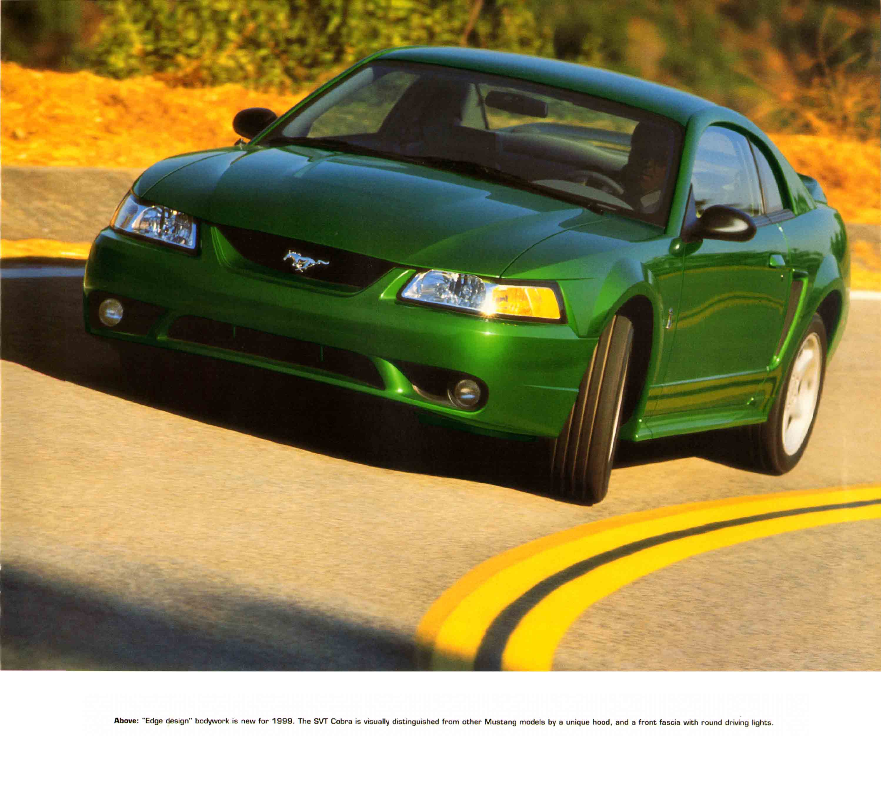 1999_Ford_SVT_Mustang_Cobra-13