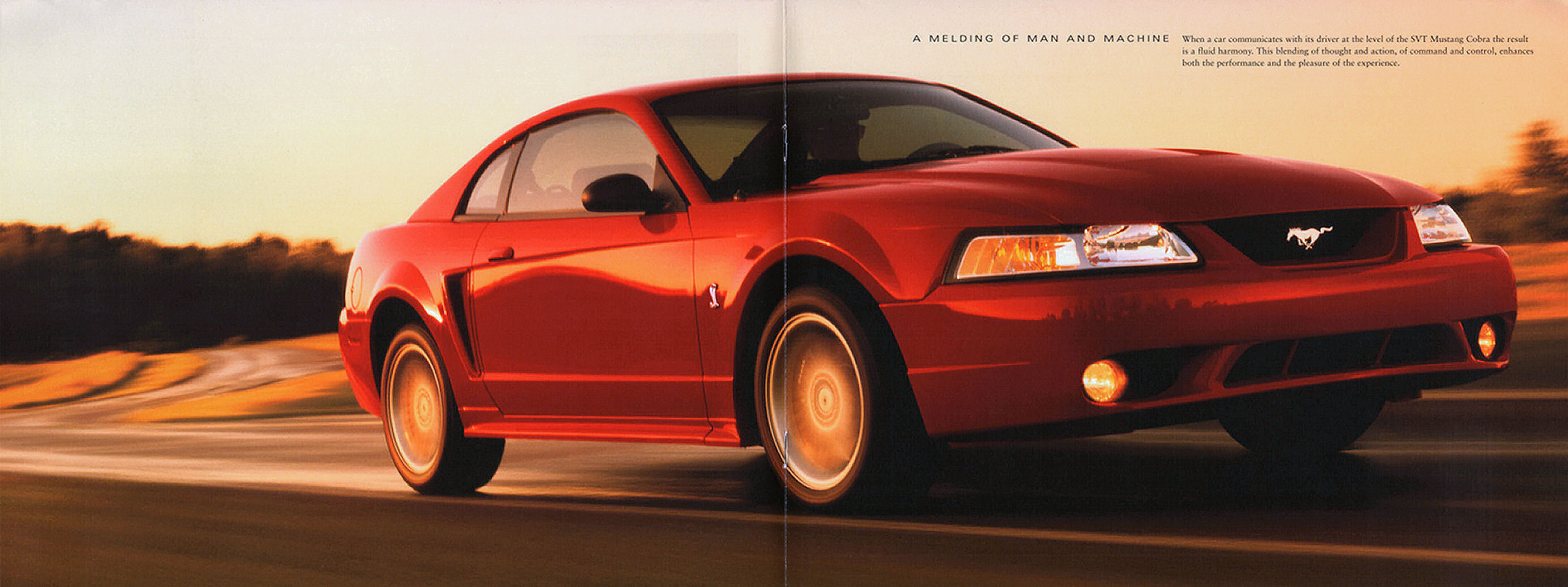 2000_Ford_SVT_Mustang_Cobra-08-09