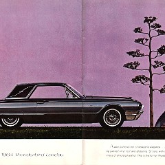1964_Ford_Thunderbird-16-17