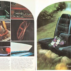 1970_Ford_Thunderbird_Mailer-10-11