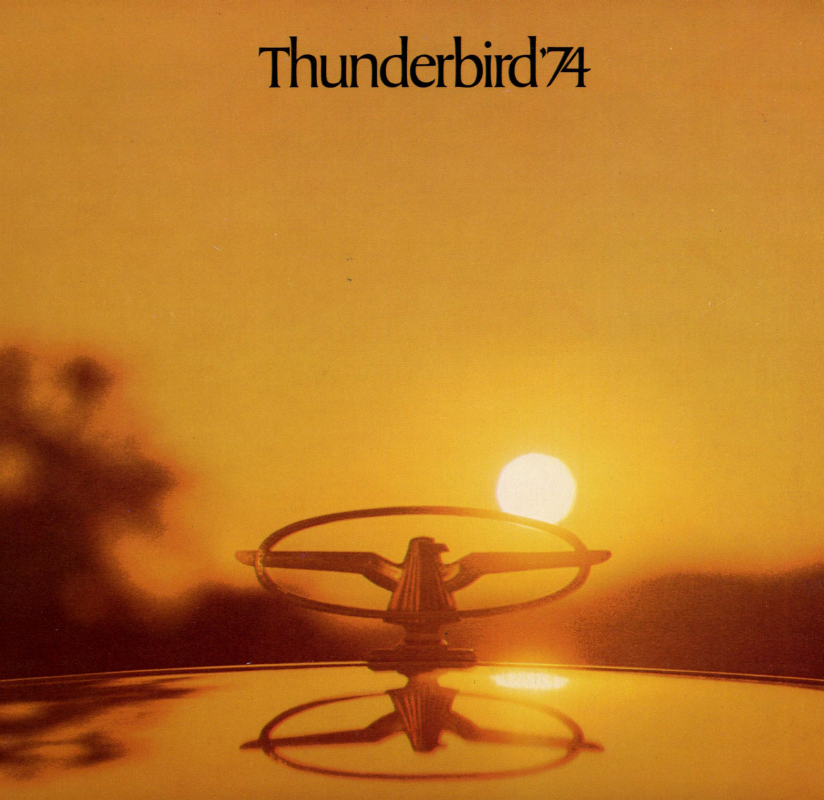 1974_Ford_Thunderbird-01