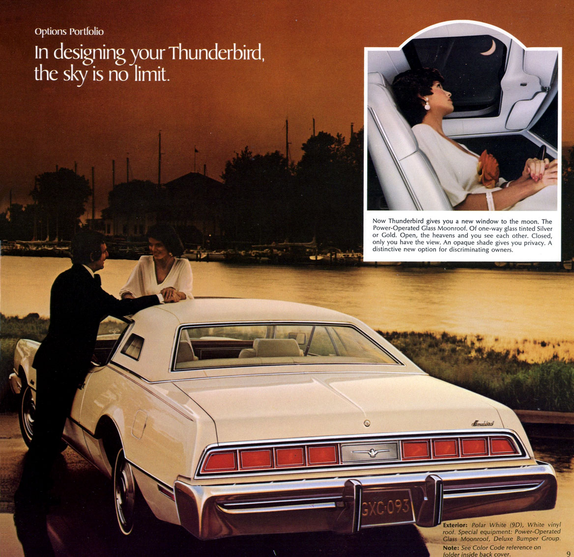 1974_Ford_Thunderbird-11