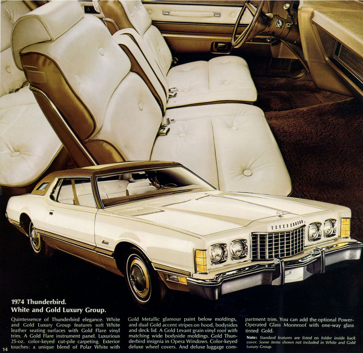 1974_Ford_Thunderbird-16
