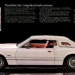 1974_Ford_Thunderbird-04-05