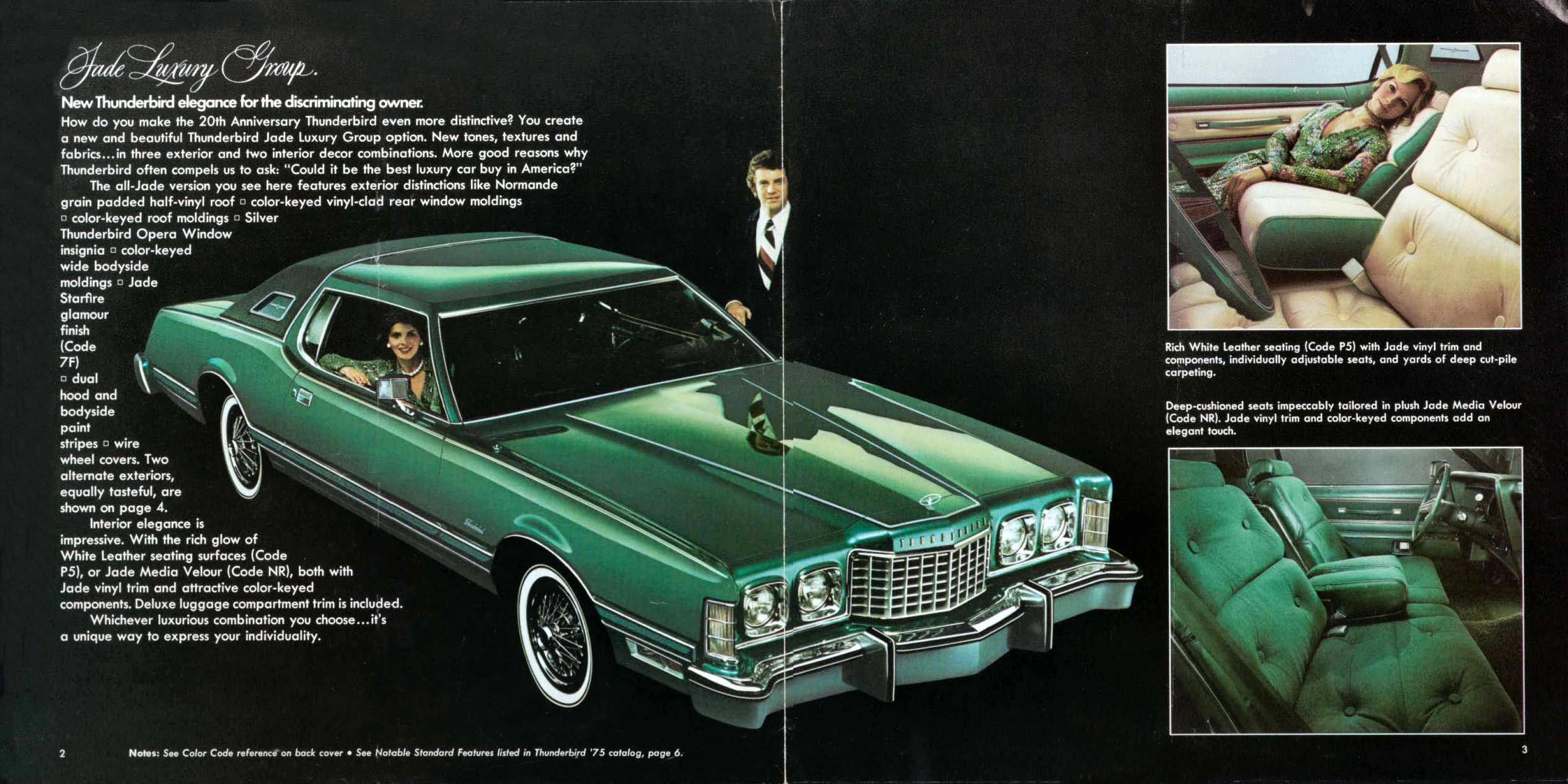 1975 Ford Thunderbird Jade Luxury Group-02-03