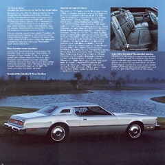 1976_Ford_Thunderbird-05