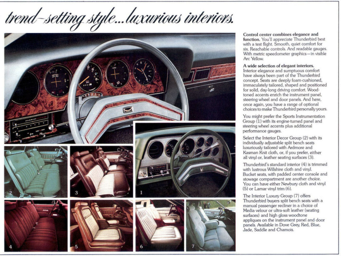 1977_Ford_Thunderbird_Mailer-08
