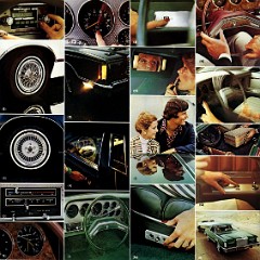 1977_Ford_Thunderbird-10