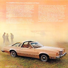 1979_Ford_Thunderbird-03