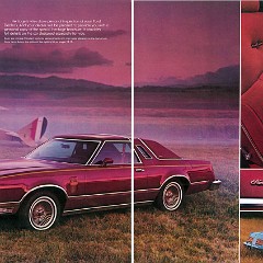 1979_Ford_Thunderbird-06