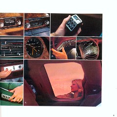1979_Ford_Thunderbird-10