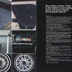 1980_Ford_Thunderbird-18-19
