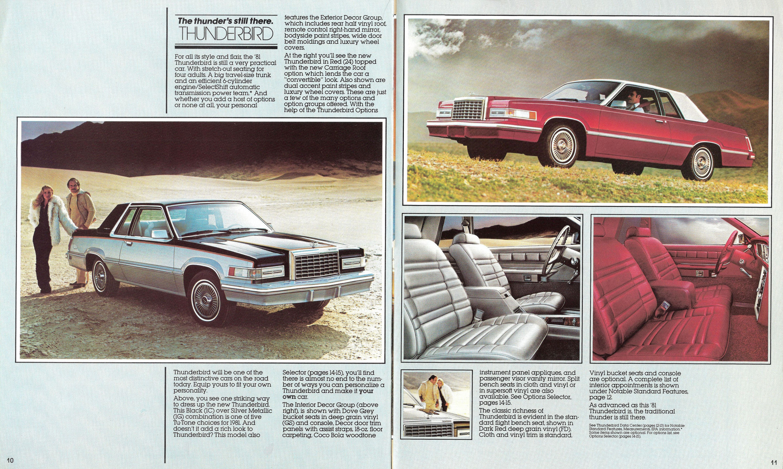 1981_Ford_Thunderbird-10-11