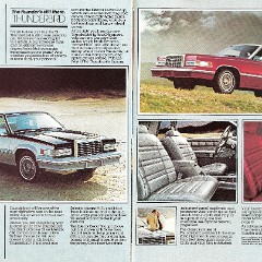 1981_Ford_Thunderbird-10-11