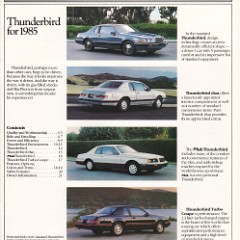 1985_Ford_Thunderbird-03