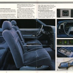 1985_Ford_Thunderbird-10-11