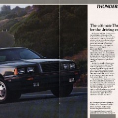 1986_Ford_Thunderbird-12-13