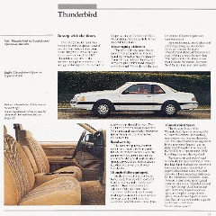 1987_Ford_Thunderbird-13