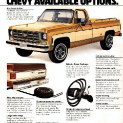 1978_Chevrolet_Pickups-10