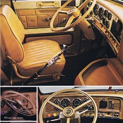 1979_Chevrolet_Bruin-05