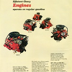 1969_Chevrolet_Pickups-18