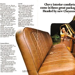 1971_Chevrolet_Pickups-06-07