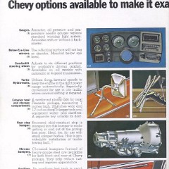 1973_Chevy_Pickups-14