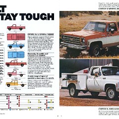 1977 Chevrolet Pickups-02-03