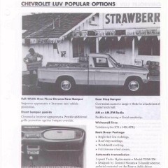 1977_Chevrolet_Values-h05