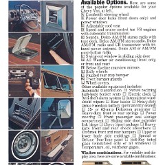 1979_Chevrolet_Vans-09