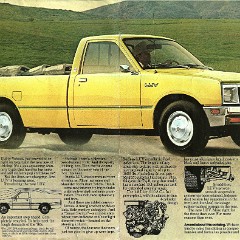 1981_Chevrolet_LUV-02-03