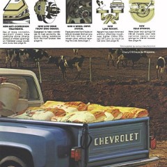 1981_Chevy_Pickups-05