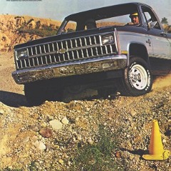 1981_Chevy_Pickups-06