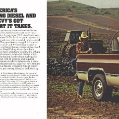 1982_Chevy_Pickups-04