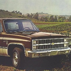 1982_Chevy_Pickups-05