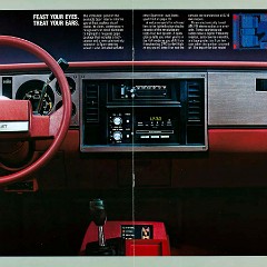 1984 Chevrolet S-10 Pickups-10-11