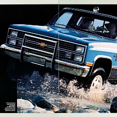 1984_Chevrolet_Full_Size_Pickups-06-07