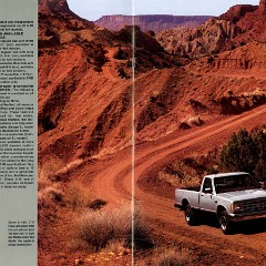 1987 Chevrolet S-10 Pickup-02-03