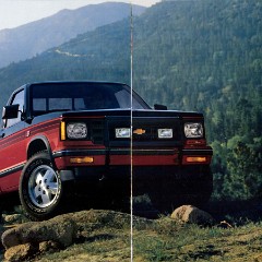 1987 Chevrolet S-10 Pickup-06-07