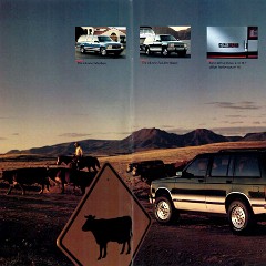 1992 Chevrolet Light Trucks-02-03