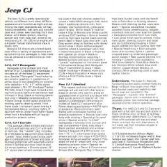 1982_Jeep_CJ5__amp__CJ7-03