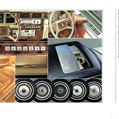 1980_Lincoln_Continental-10
