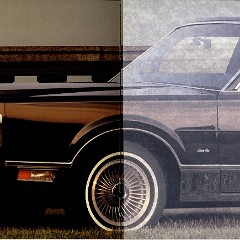1988 Lincoln Town Car Portfolio 02-05