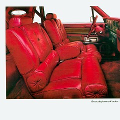 1981_Lincoln_Continental_Mark_VI-05
