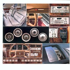 1981_Lincoln_Town_Car-09