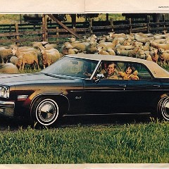 1974_Oldsmobile-16