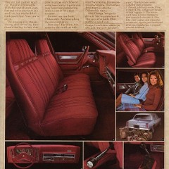 1980_Oldsmobile_Omega-05
