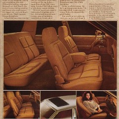 1980_Oldsmobile_Omega-07