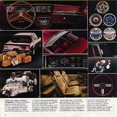 1981_Oldsmobile_Midsize-13